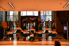DSC_3775